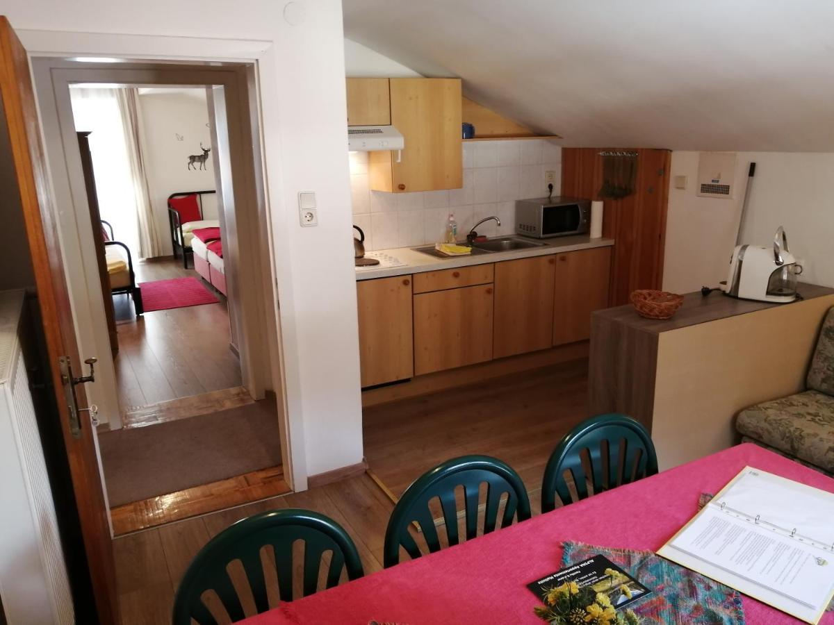 Alpina Appartements Mallnitz Zewnętrze zdjęcie