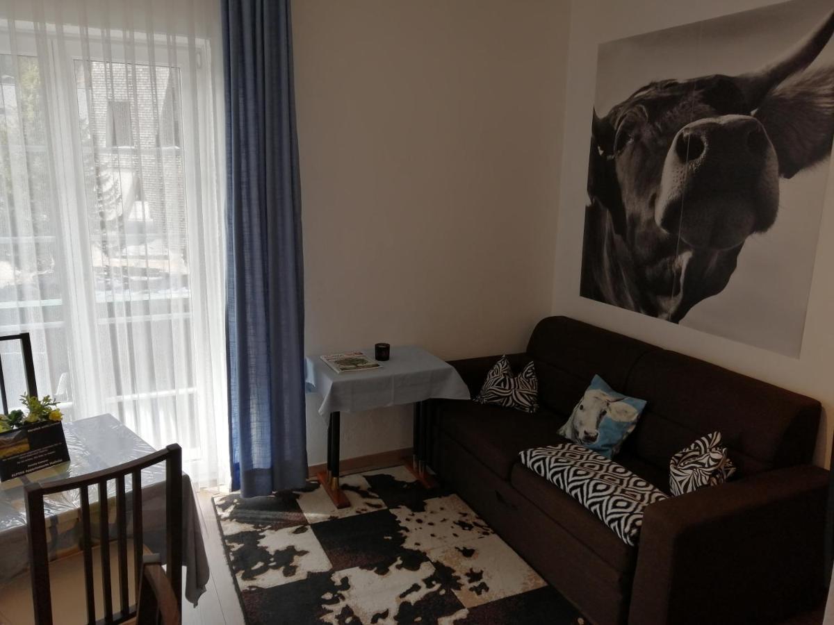 Alpina Appartements Mallnitz Zewnętrze zdjęcie